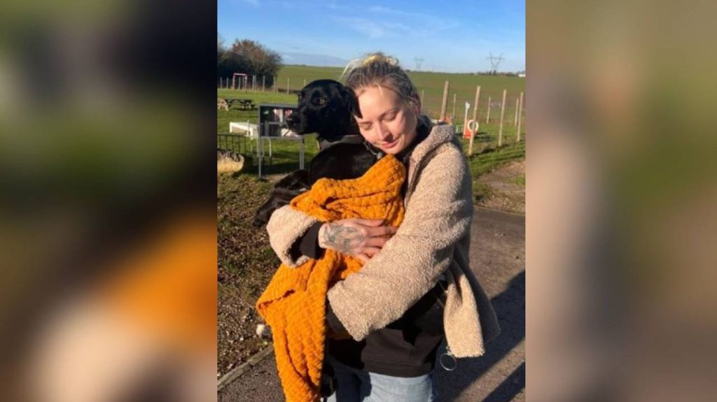 Amalka, le chien perdu d’un touriste à l’aéroport Roissy-Charles de Gaulle, a été retrouvé