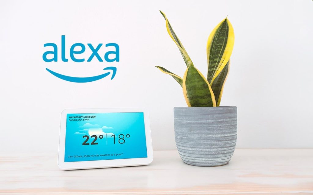 Entre espoirs et retards, Amazon peine à relancer Alexa – Les Alexiens