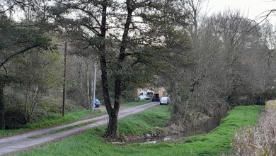 Un chasseur retrouvé mort en Dordogne avec une blessure à l’abdomen lors d’une chasse au sanglier