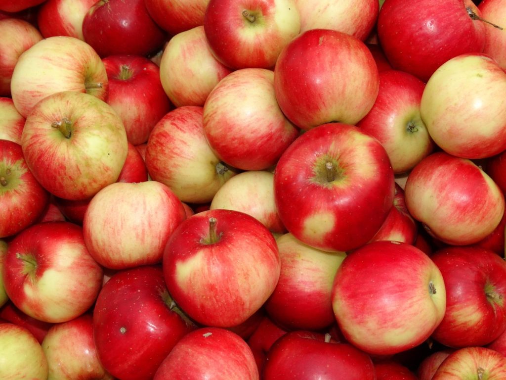 Nos conseils diététiques de la semaine. Une pomme par jour éloigne le médecin ! Mais pourquoi alors ?