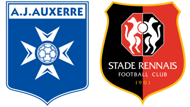 Auxerre – Stade Rennais : le point sur le groupe