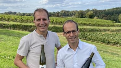 la désalcoolisation du vin est instaurée en France