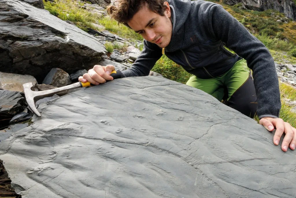 Des empreintes de pré-dinosaures découvertes dans les Alpes