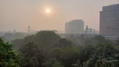 à New Delhi, en Inde, la colère des parents face à la pollution de l’air