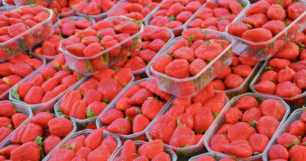 Pourquoi Intermarché ne proposera pas de fraises et de cerises à Noël