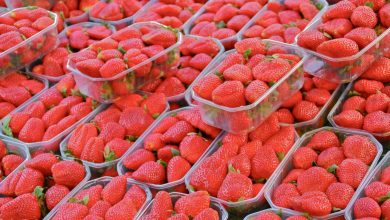 Pourquoi Intermarché ne proposera pas de fraises et de cerises à Noël