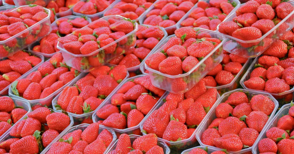 Pourquoi Intermarché ne proposera pas de fraises et de cerises à Noël