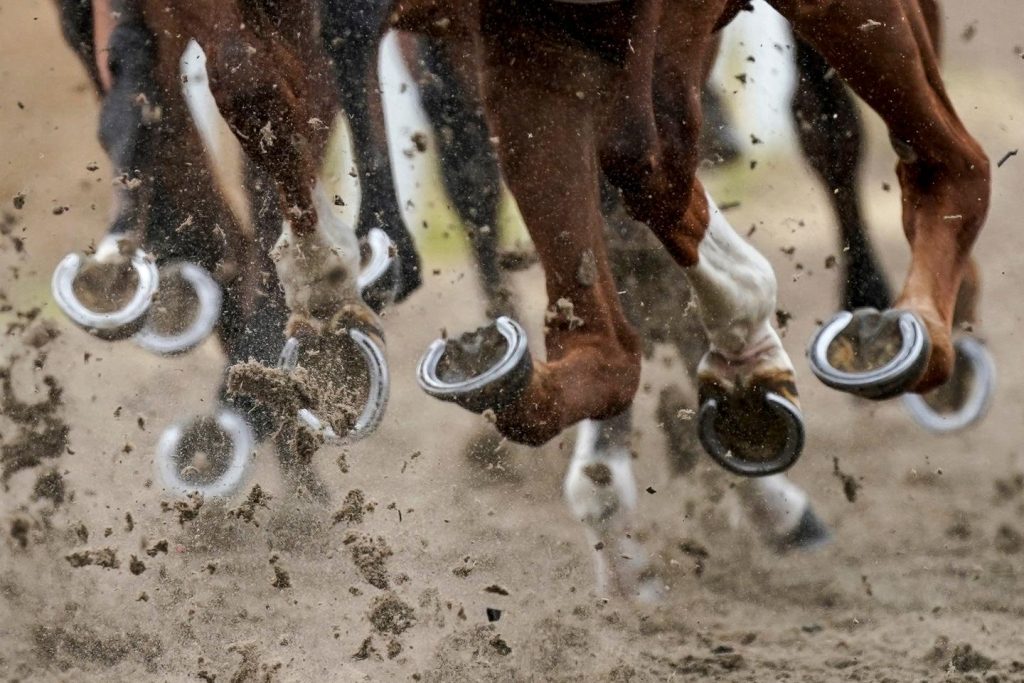 alarmé par un projet de taxe, le secteur des courses de chevaux annule les courses jeudi