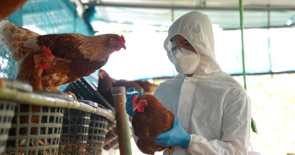 Faut-il s’inquiéter d’un risque épidémique ?