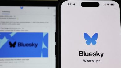 Réseaux sociaux : Bluesky gagne 1 million d’utilisateurs en 24 heures, signe de méfiance envers le X d’Elon Musk – 15/11/2024 à 13:50