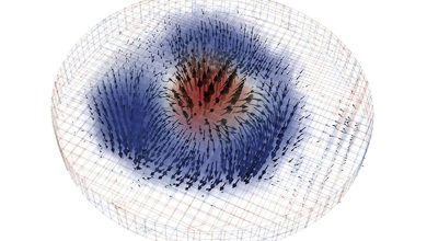 Des chercheurs obtiennent la première image 3D d’un skyrmion magnétique