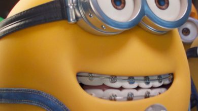 Audiences : « Les Minions 2 » sur TF1 a-t-il réussi à rivaliser avec « La Grande Vadrouille » sur France 2 ?