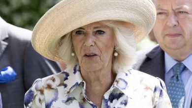 Camilla Parker Bowles malade : son état de santé scruté par ses médecins, voici ce qu’ils lui ont recommandé