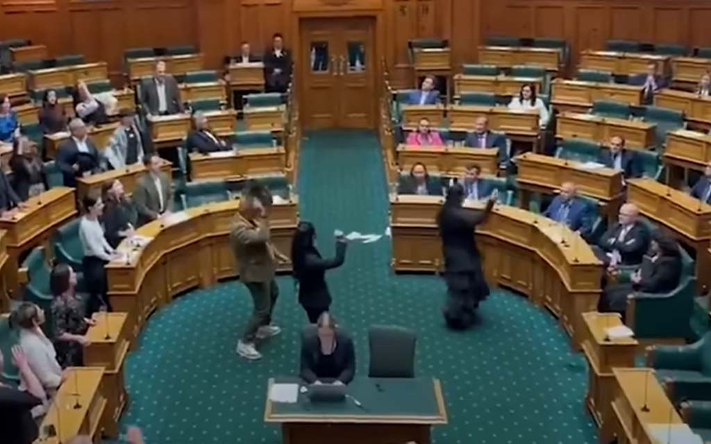 Haka au Parlement néo-zélandais : les députés maoris et la gauche luttent contre l’égalité entre les citoyens