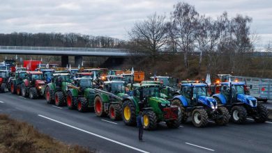 la FNSEA lance un appel à la mobilisation nationale «dès lundi»