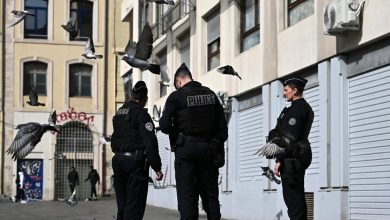 vague d’interpellations au sein de la bande criminelle marseillaise, soupçonnée de multiples extorsions