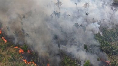 les émissions mondiales continuent d’augmenter