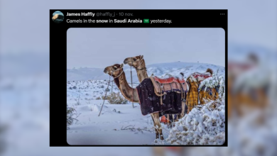 les plus belles images du pays touché par la neige