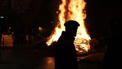 comment les élections professionnelles influencent la mobilisation et les méthodes des syndicats agricoles