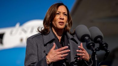 Selon Kamala Harris, la violence verbale de Donald Trump le « disqualifie » pour la Maison Blanche