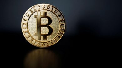 Bitcoin dépasse les 95 000 dollars pour la première fois