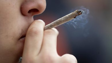 Une molécule redonne espoir contre l’addiction au cannabis