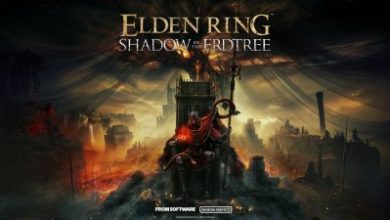 Elden Ring : Shadow of the Erdtree, les fans ravis de ce cadeau gratuit