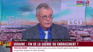 Face aux experts le mardi 19 novembre 2024 – Face aux experts | LCI-TF1+