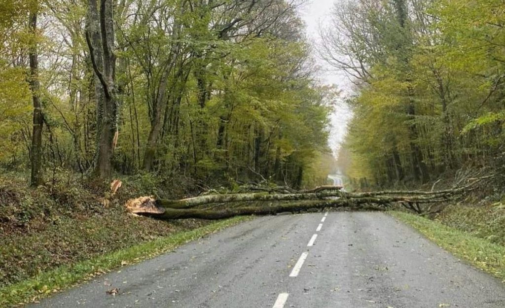 dans le Lot-et-Garonne, la circulation entravée par des chutes d’arbres