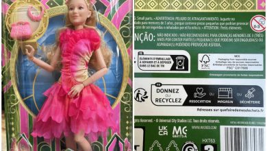 Erreur du site Mattel and the Wicked : lorsque des poupées pour enfants se connectent accidentellement à un site X