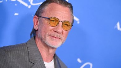 Cheveux lissés en arrière et lunettes de soleil pour Daniel Craig à la première de « Queer »