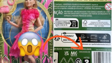 Mattel a inscrit l’adresse d’un site pornographique sur la boîte des poupées Wicked