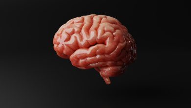 Cet homme détient le record du cerveau le plus lourd jamais enregistré