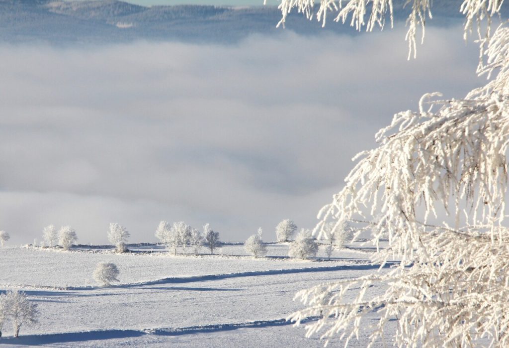 Occitanie. La neige pourrait bientôt tomber en abondance dans ce département éloigné des Pyrénées