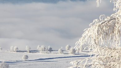 Occitanie. La neige pourrait bientôt tomber en abondance dans ce département éloigné des Pyrénées