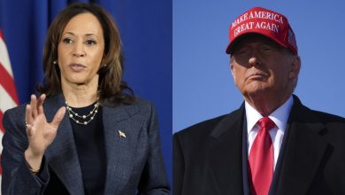 Trump ou Harris, ce que disent les sondages