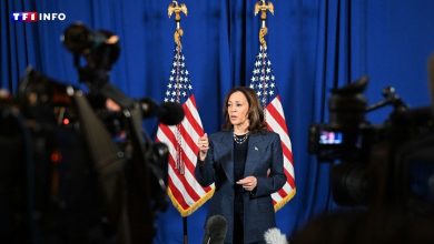 EN DIRECT – Présidentielle américaine, J-1 : « La liberté reproductive est au rendez-vous », assure Kamala Harris