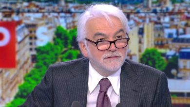 « L’idéologie égalitaire conduit à des idiots qui vont jusqu’à traquer les enfants dans leur bac à sable à Strasbourg »