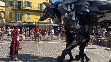 Quel est ce loup gigantesque qui va s’installer dans un château, aux portes de Toulouse ?