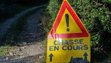 Le corps d’un chasseur de 49 ans retrouvé sans vie, sa blessure semble « provenir d’un coup de feu »