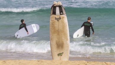 Selon des chercheurs australiens, éclairer votre planche de surf contribue à réduire le risque d’attaque de requins blancs