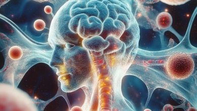 La mémoire s’étend bien au-delà du cerveau, selon une étude