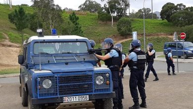 Le malus écologique « alourdit » le budget de la Gendarmerie dédié à l’achat de véhicules neufs