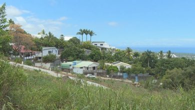 À l’Étang-Salé, le retour du chikungunya réveille de mauvais souvenirs