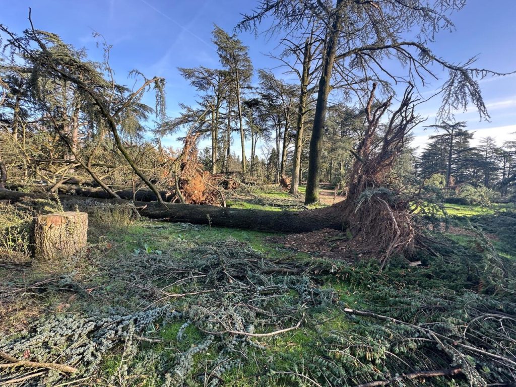 Lyon. Ce parc dévasté par des vents violents : découvrez nos images impressionnantes