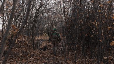 En vue d’une éventuelle guerre avec la Russie, la Suède et la Finlande préparent activement leurs populations