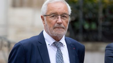 François Rebsamen va renoncer à son poste de maire de Dijon