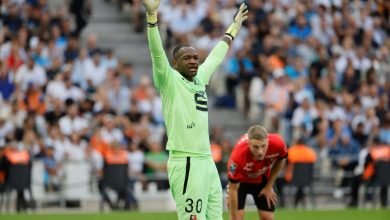 Rennes : Steve Mandanda met en cause la situation de son équipe