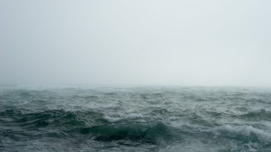 Quand le niveau de la mer a-t-il été le plus élevé ?