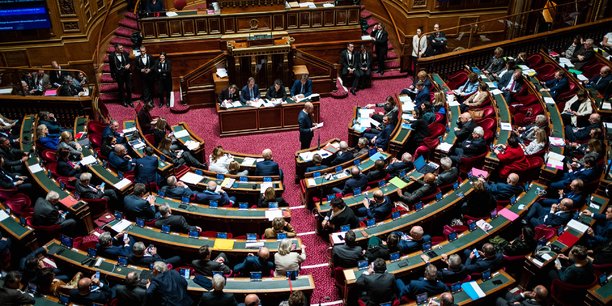 les propositions chocs du groupe centriste au Sénat